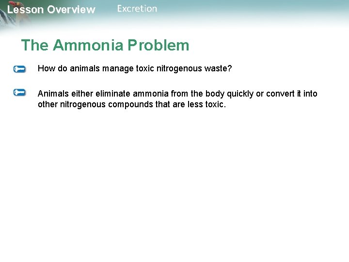 Lesson Overview Excretion The Ammonia Problem How do animals manage toxic nitrogenous waste? Animals