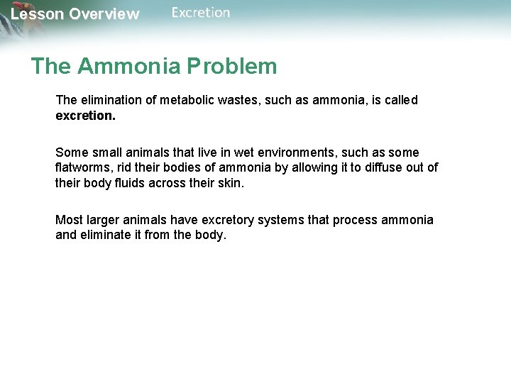 Lesson Overview Excretion The Ammonia Problem The elimination of metabolic wastes, such as ammonia,