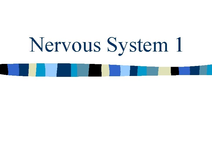 Nervous System 1 