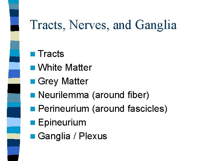 Tracts, Nerves, and Ganglia n Tracts n White Matter n Grey Matter n Neurilemma