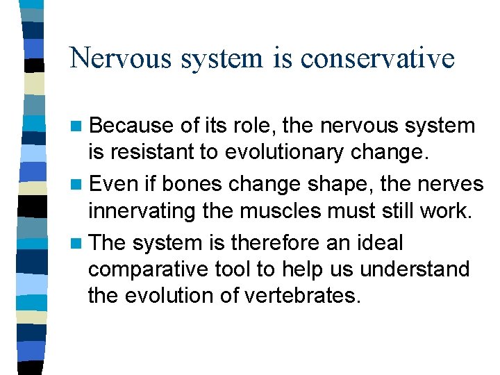 Nervous system is conservative n Because of its role, the nervous system is resistant