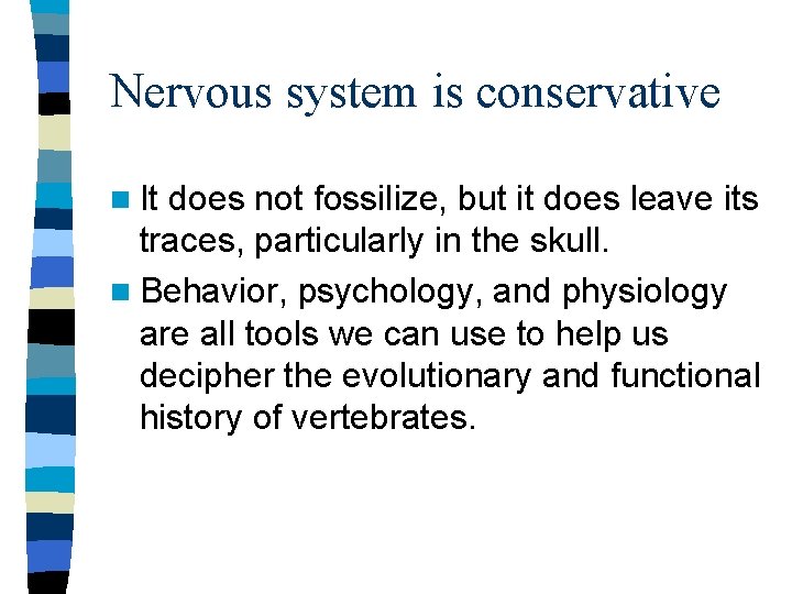 Nervous system is conservative n It does not fossilize, but it does leave its