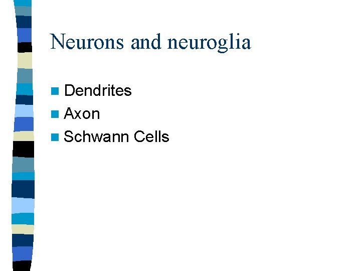 Neurons and neuroglia n Dendrites n Axon n Schwann Cells 
