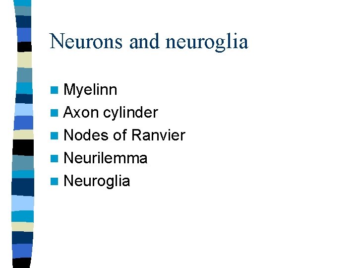 Neurons and neuroglia n Myelinn n Axon cylinder n Nodes of Ranvier n Neurilemma