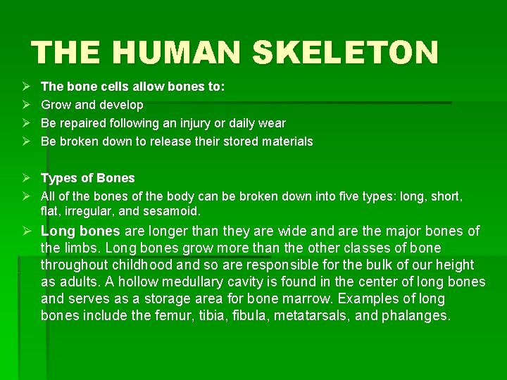 THE HUMAN SKELETON Ø Ø The bone cells allow bones to: Grow and develop