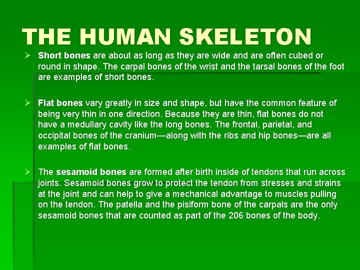 THE HUMAN SKELETON Ø Short bones are about as long as they are wide