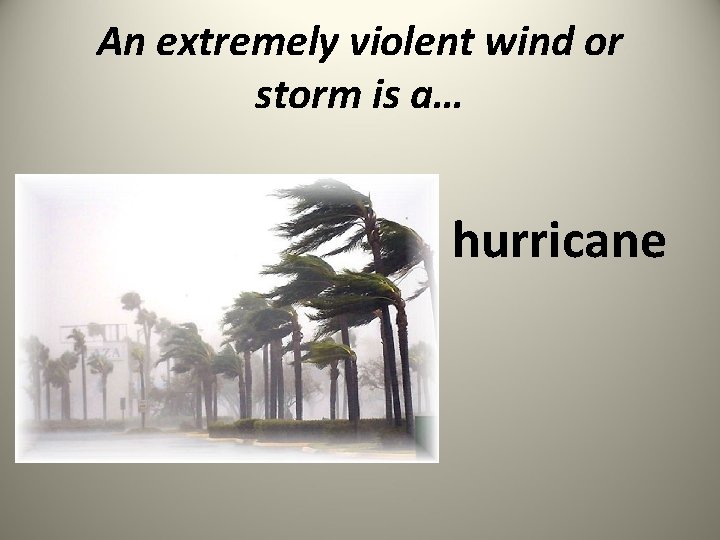 An extremely violent wind or storm is a… hurricane 