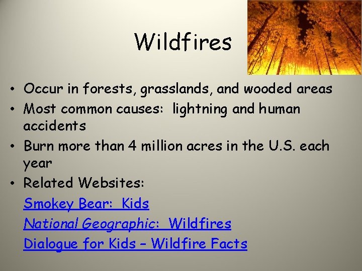 Wildfires • Occur in forests, grasslands, and wooded areas • Most common causes: lightning