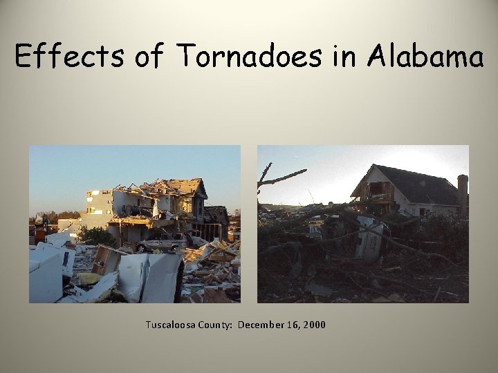 Effects of Tornadoes in Alabama Tuscaloosa County: December 16, 2000 