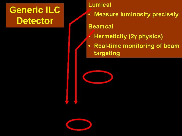 Generic ILC Detector Lumical • Measure luminosity precisely Beamcal • Hermeticity (2 physics) •