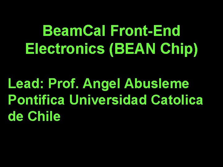 Beam. Cal Front-End Electronics (BEAN Chip) Lead: Prof. Angel Abusleme Pontifica Universidad Catolica de