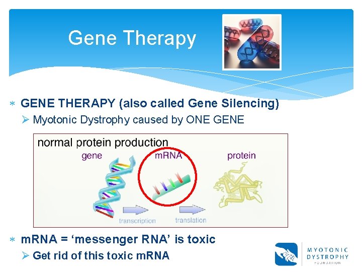 Gene Therapy GENE THERAPY (also called Gene Silencing) Ø Myotonic Dystrophy caused by ONE