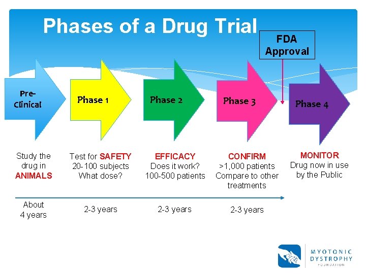 Phases of a Drug Trial Pre. Clinical Phase 1 Phase 2 FDA Approval Phase