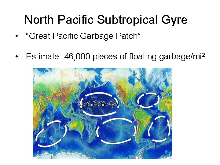 North Pacific Subtropical Gyre • “Great Pacific Garbage Patch” • Estimate: 46, 000 pieces