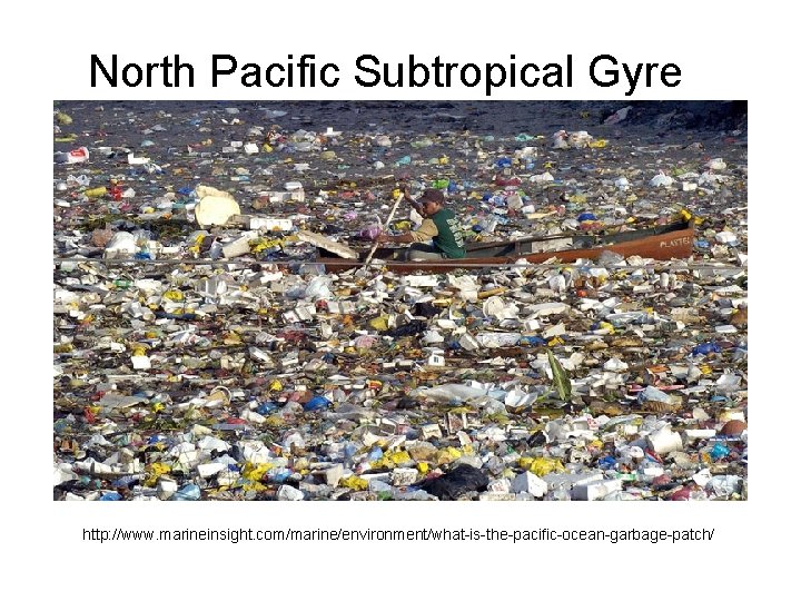 North Pacific Subtropical Gyre http: //www. marineinsight. com/marine/environment/what-is-the-pacific-ocean-garbage-patch/ 