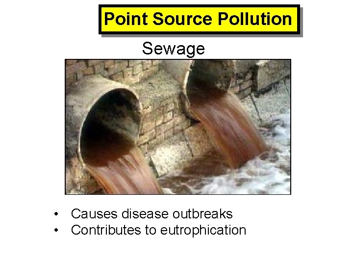 Point Source Pollution Sewage • Causes disease outbreaks • Contributes to eutrophication 