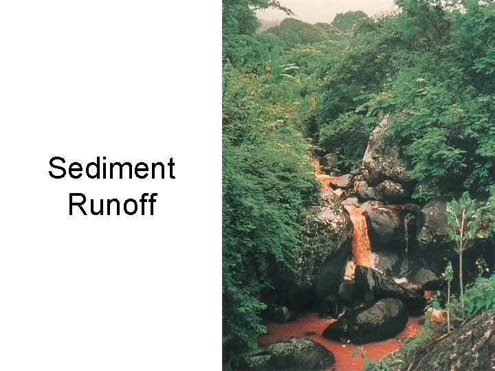 Sediment Runoff 