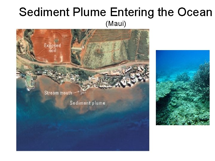 Sediment Plume Entering the Ocean (Maui) 