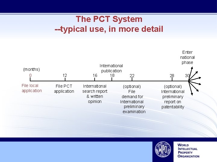 The PCT System --typical use, in more detail (months) 0 12 File local application