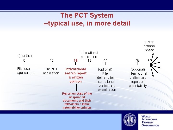 The PCT System --typical use, in more detail (months) 0 12 File local application