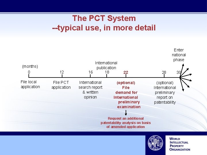 The PCT System --typical use, in more detail (months) 0 12 File local application