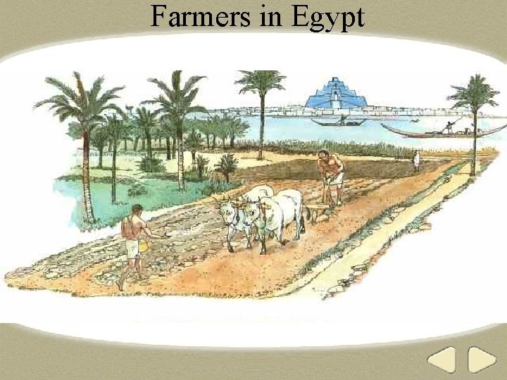 Farmers in Egypt 