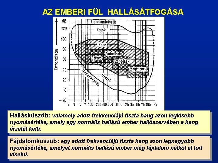 AZ EMBERI FÜL HALLÁSÁTFOGÁSA Hallásküszöb: valamely adott frekvenciájú tiszta hang azon legkisebb nyomásértéke, amely