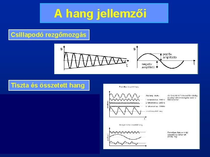 A hang jellemzői Csillapodó rezgőmozgás Tiszta és összetett hang 