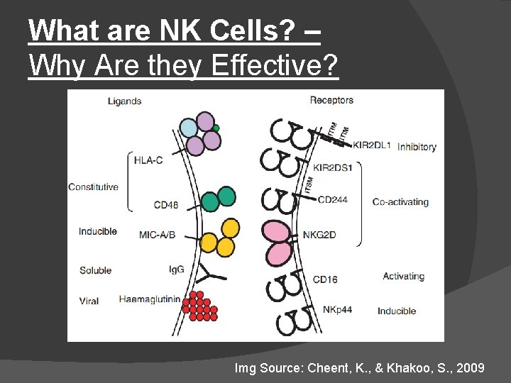 What are NK Cells? – Why Are they Effective? Img Source: Cheent, K. ,