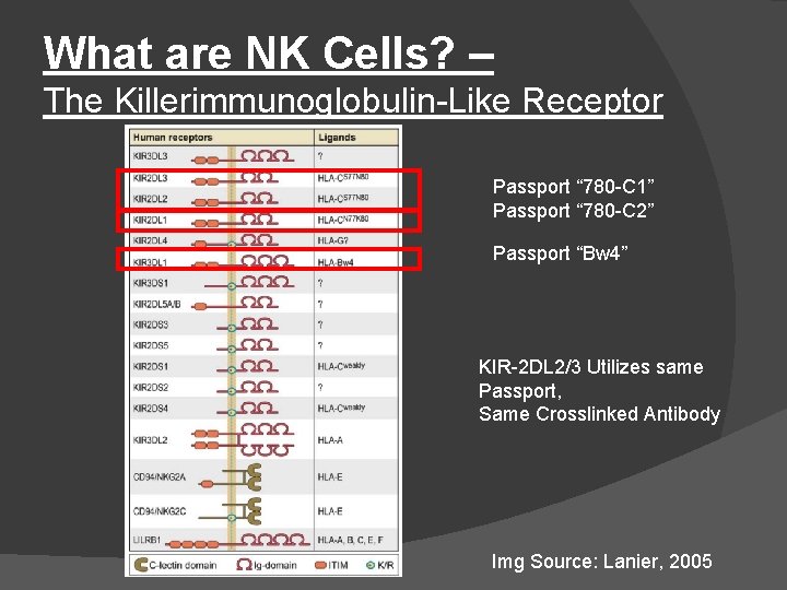 What are NK Cells? – The Killerimmunoglobulin-Like Receptor Passport “ 780 -C 1” Passport