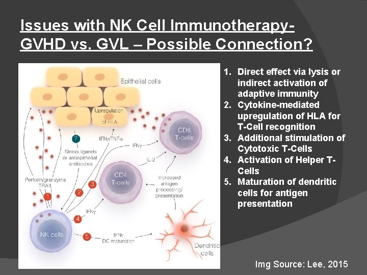 Issues with NK Cell Immunotherapy. GVHD vs. GVL – Possible Connection? 1. Direct effect