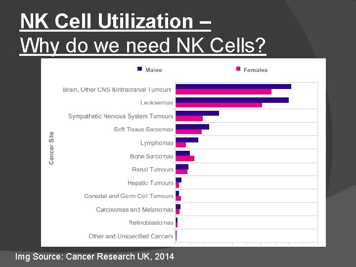 NK Cell Utilization – Why do we need NK Cells? Img Source: Cancer Research