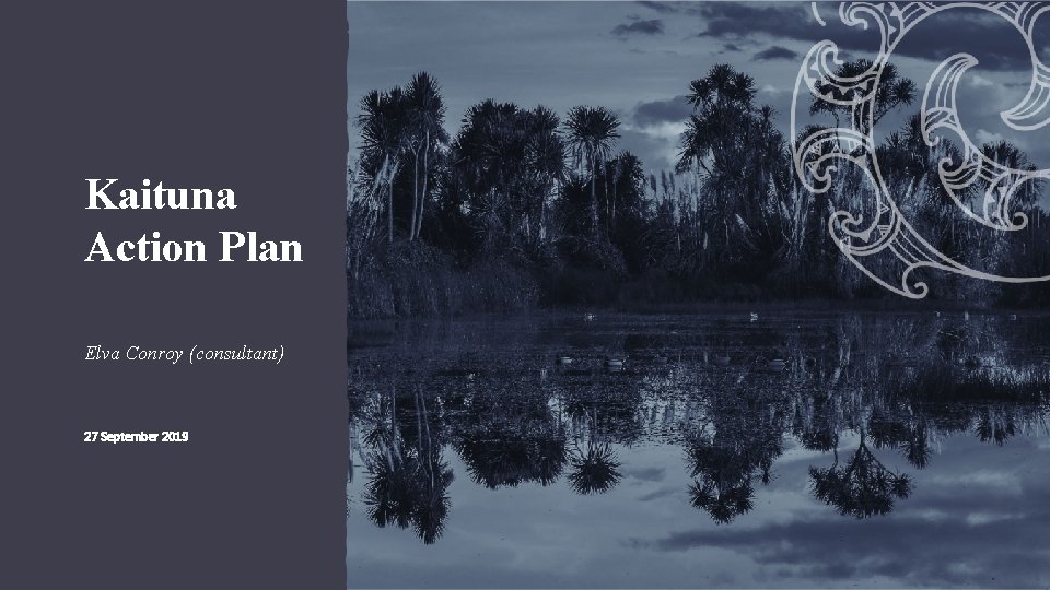Kaituna Action Plan Elva Conroy (consultant) 27 September 2019 