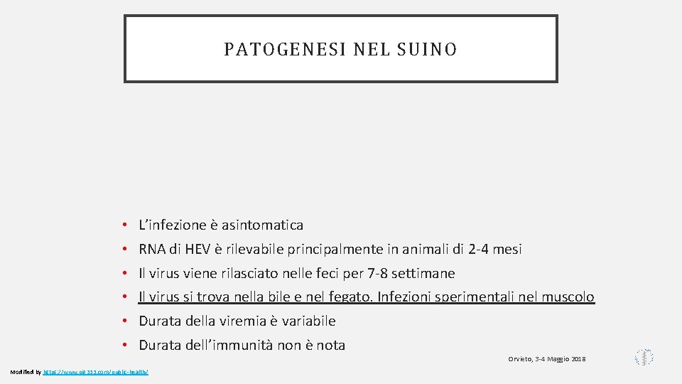 PATOGENESI NEL SUINO • L’infezione è asintomatica • RNA di HEV è rilevabile principalmente