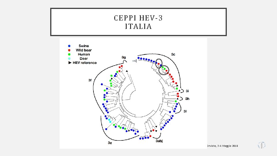 CEPPI HEV-3 ITALIA Orvieto, 3 -4 Maggio 2018 