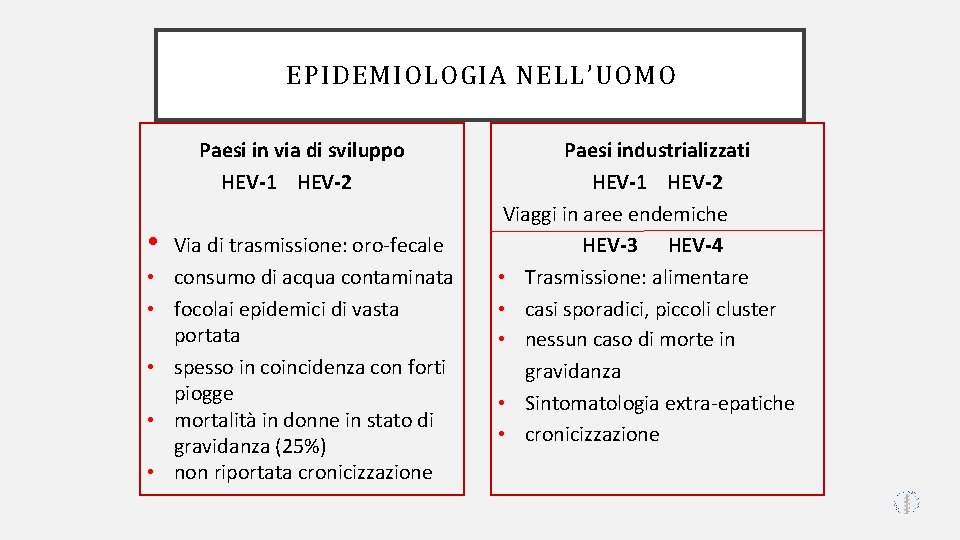 EPIDEMIOLOGIA NELL’UOMO Paesi in via di sviluppo HEV-1 HEV-2 • • • Via di