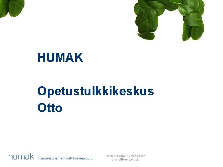 HUMAK Opetustulkkikeskus Otto Helmi Koukka, Humanistinen ammattikorkeakoulu 