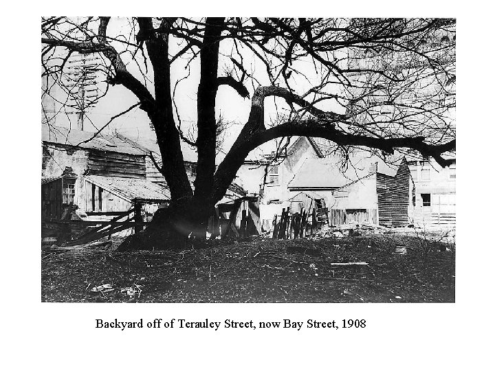 Backyard off of Terauley Street, now Bay Street, 1908 