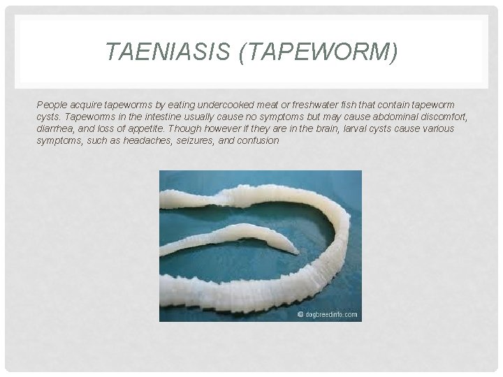 TAENIASIS (TAPEWORM) People acquire tapeworms by eating undercooked meat or freshwater fish that contain