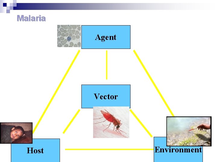 Malaria Agent Vector 12 Host Environment 