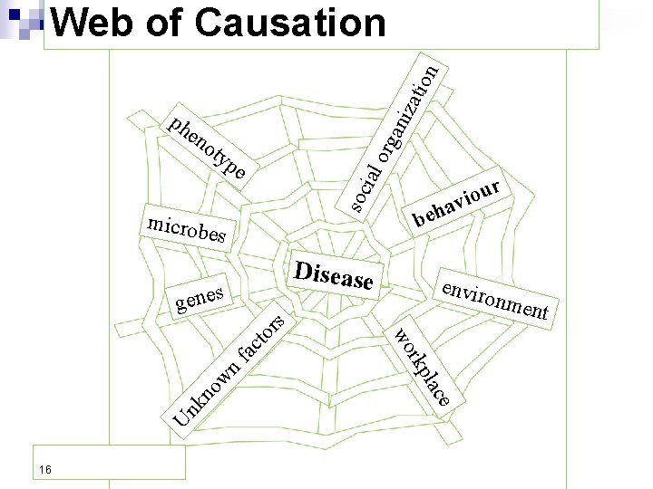 zat ion Web of Causation en o org ani ph typ soc ial e