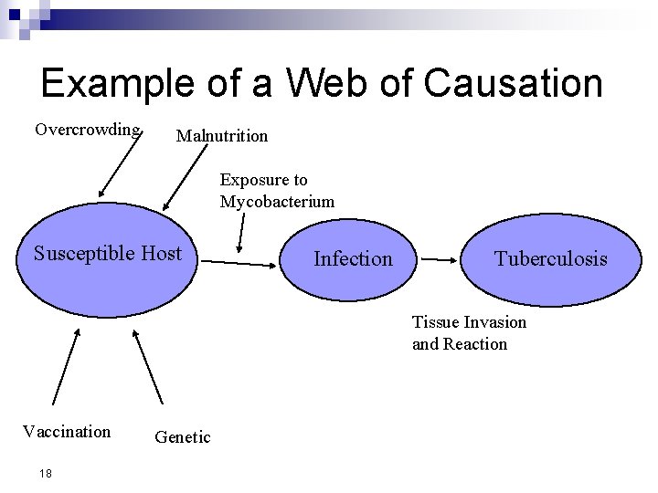 Example of a Web of Causation Overcrowding Malnutrition Exposure to Mycobacterium Susceptible Host Infection