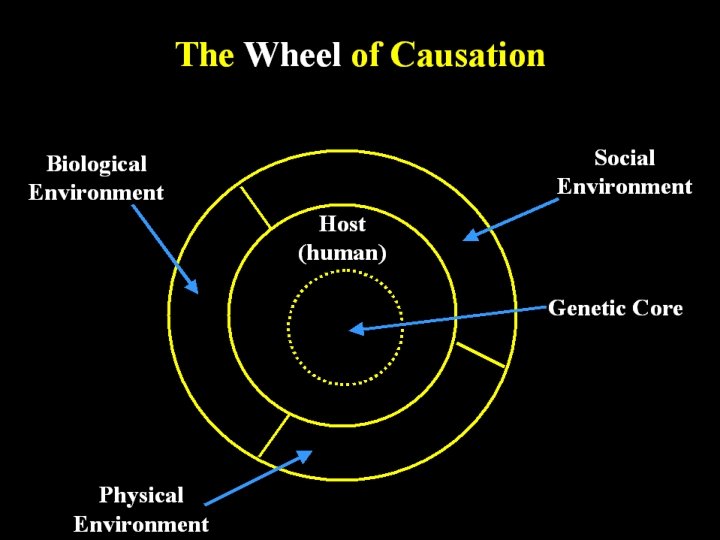 The Wheel of Causation Social Environment Biological Environment Host (human) Genetic Core 20 Physical