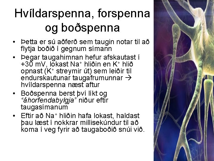 Hvíldarspenna, forspenna og boðspenna • Þetta er sú aðferð sem taugin notar til að