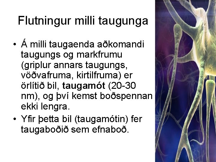 Flutningur milli taugunga • Á milli taugaenda aðkomandi taugungs og markfrumu (griplur annars taugungs,