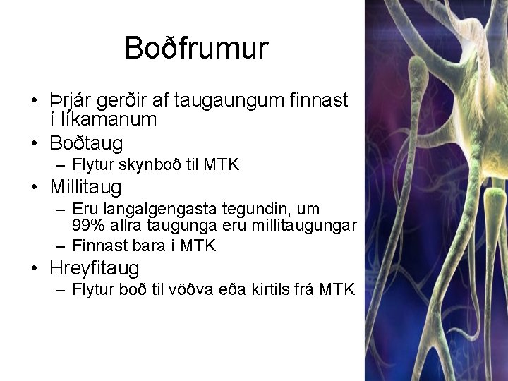 Boðfrumur • Þrjár gerðir af taugaungum finnast í líkamanum • Boðtaug – Flytur skynboð