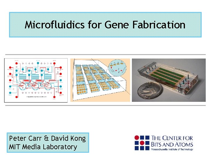 Microfluidics for Gene Fabrication Peter Carr & David Kong MIT Media Laboratory 