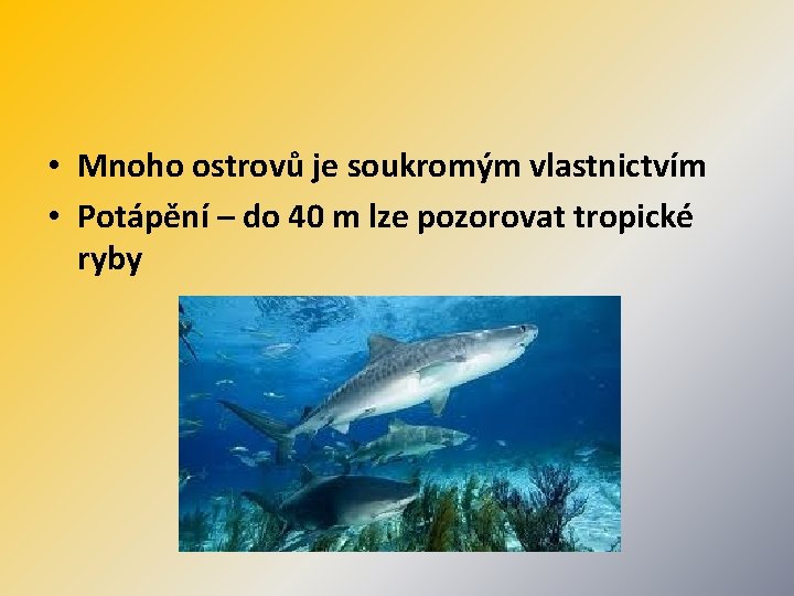  • Mnoho ostrovů je soukromým vlastnictvím • Potápění – do 40 m lze