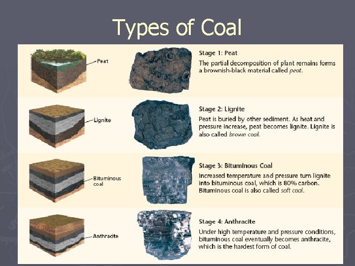 Types of Coal 