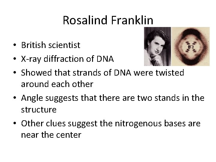 Rosalind Franklin • British scientist • X-ray diffraction of DNA • Showed that strands